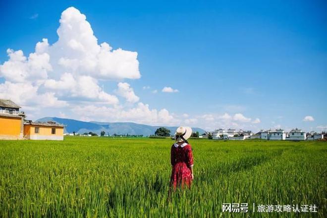 导游什么价格和昆明旅游必去景点大全ayx爱游戏app云南十佳网红优秀(图10)